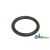 195522M1 - O-Ring Pto Ret. (25Pk) 	