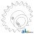 AH147557 - Sprocket, Tailings Elevator Spout, Upper 	