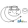 21A205DP - Module, Electronic Ignition 	
