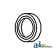 3138701R91 - Seal, Rear Crankshaft 	
