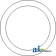 82000789 - O-Ring